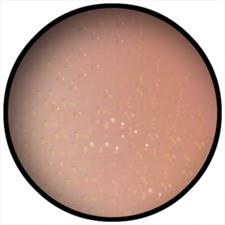 PEGGY SAGE I-LAK COLORE MINI 192073 BRONZE DAZZLE