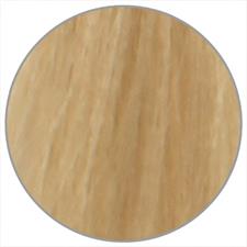 EWOO COLOR CREAM N. 10 PLATINBLOND