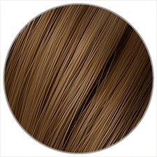 SEISETA INVISIBLE NEW CLIP-IN NATURHAAR 50-55 CM FARBE 12
