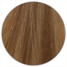 EWOO COLOR CREAM N. 8.1 HELLBLOND ASCH