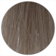 EWOO COLOR CREAM N. 12.11 BLOND SILVER INTENSIV