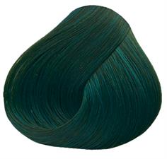 DIRECTIONS COLORAZIONE SEMI PERMANENTE ALPINE GREEN