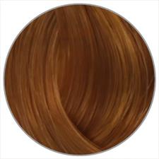 L'OREAL MAJIREL N. 8,04 HELLBLOND LEICHT KUPFER