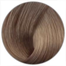 EWOO COL.ELEMENT N. 8.13 HELLBLOND ASCH GOLD OHNE AMMONIAK