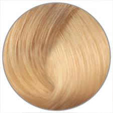 EWOO COL.ELEMENT N. 10.23 PLATINBLOND IRISÉ GOLD OHNE AMMONIAK