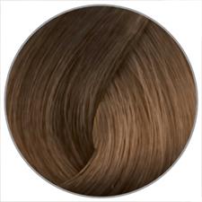 EWOO COL.ELEMENT N. 7.81 BLOND MOKA ICE OHNE AMMONIAK