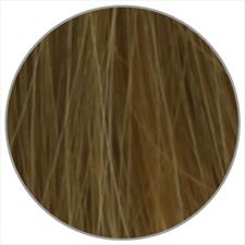 L'OREAL INOA COLOR CREAM N. 8.31