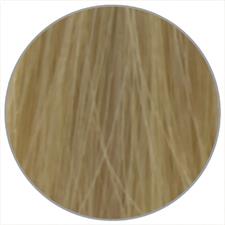 L'OREAL INOA COLOR CREAM N. 10.1