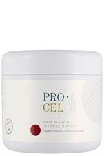 PRO CEL HAARMASKE FÜR COLORIERTES HAAR