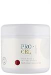 PRO CEL HAARMASKE FÜR COLORIERTES HAAR