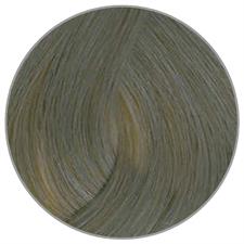 PLURA CONCEPT CREMA COLORANTE N. 8,01 BIONDO CHIARO CENERE