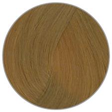 PLURA CONCEPT CREMA COLORANTE N. 9,3 BIONDO CHIARISSIMO DO