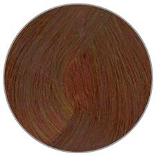 PLURA CONCEPT CREMA COLORANTE N. 8,2 BIONDO CHIARO IRISEE 100ML
