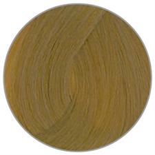 PLURA CONCEPT CREMA COLORANTE N. 8,33 BIONDO CHIARO DORATO