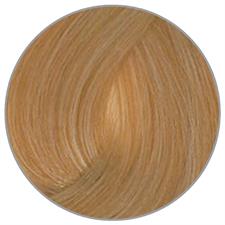 PLURA CONCEPT CREMA COLORANTE N. 10,34 BION.CHIARIS.PLATIN 100