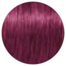 TESTA NERA IGORA ROYAL N. 9-98 BIONDO CHIARISS. VIOLETTO ROSSO