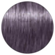 TESTA NERA IGORA ROYAL N. 6-29 DUNKLES ASCHBLOND EXTRAVIOLETT