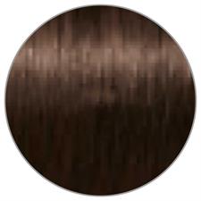 TESTA NERA IGORA ABSOLUTES N. 4-60 CASTANO MEDIO CIOCCOLATO N
