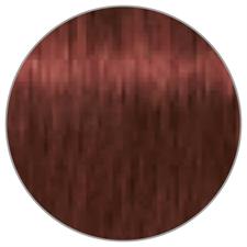 TESTA NERA IGORA ABSOLUTES N. 6-80 BION.SCUR.ROSSO NATU.