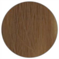 WELLA ILLUMINA N. 8/13 BIONDO CHIARO CENERE DORATO
