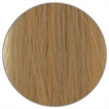 WELLA KP ME+ N. 10/03 HELL LICHTBLOND NATUR GOLD