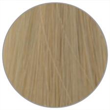 WELLA KP ME+ N. 12/1 SPEZIALBLOND ASCH