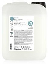 HAIRTOOLS BASIC CREMEOXYD 6% IM KANISTER