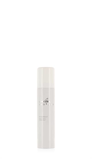 LEG°AME HAARSPRAY STARKER HALT