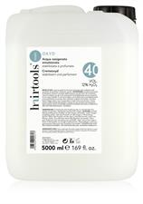 HAIRTOOLS BASIC OSSIGENO IN TANICA 40 VOLUMI 12% CREMOSO